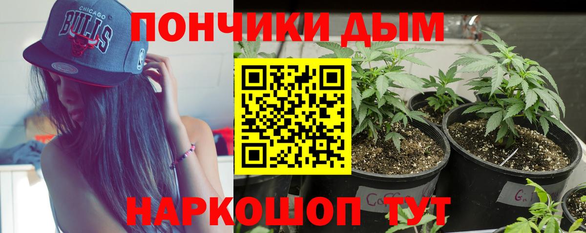 Конопля семена  Вход с VPN  Сокол  Канабис THC 21% 